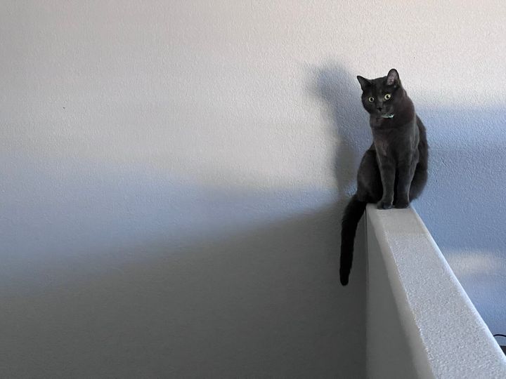 Mastodon Post 2023-06-11