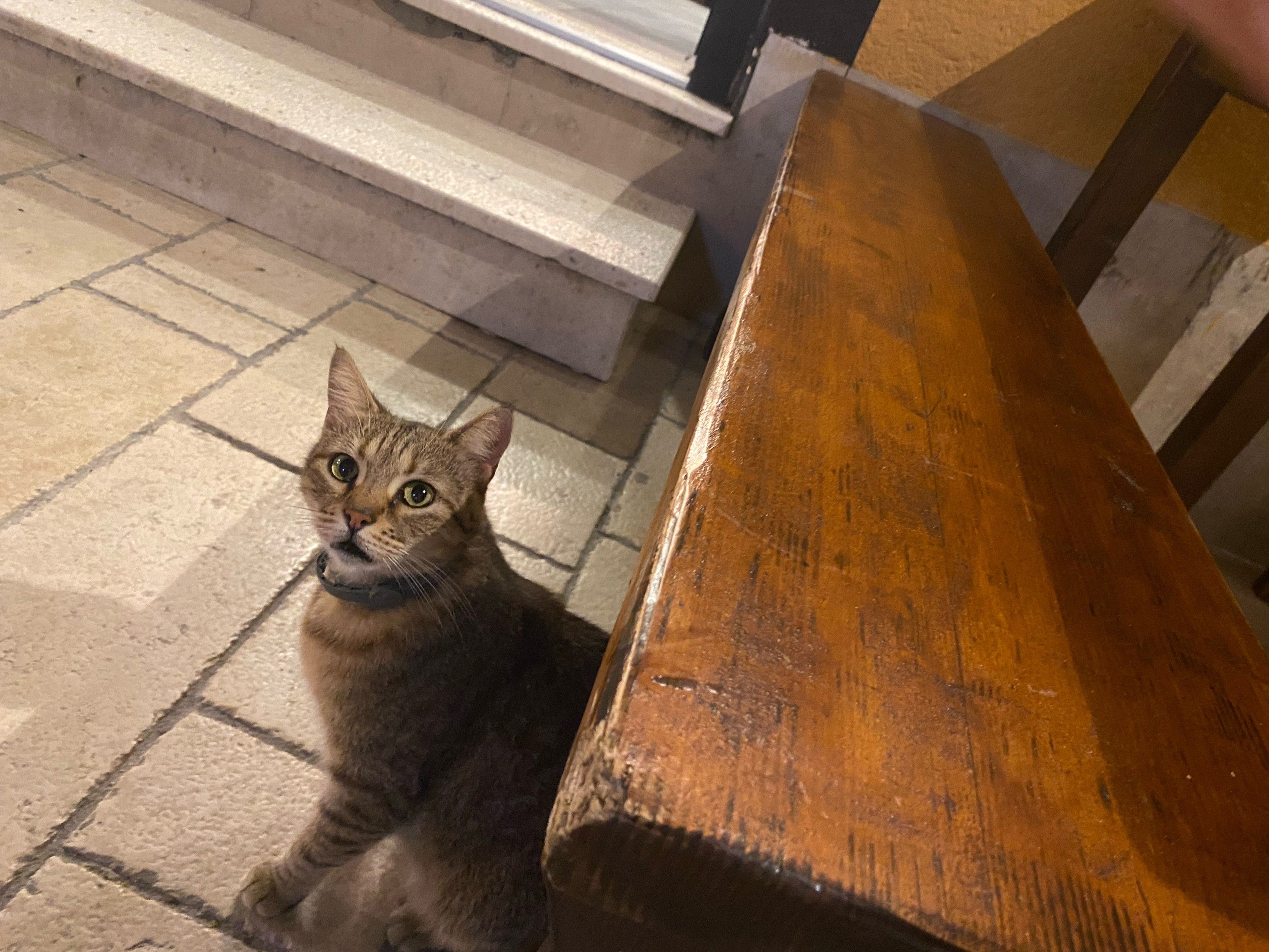 Mastodon Post 2023-09-30