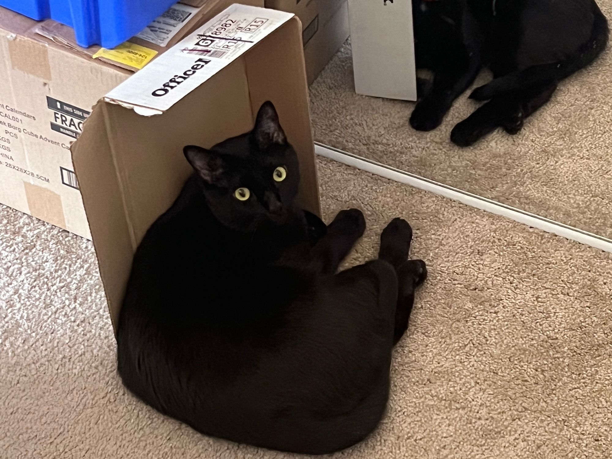 Bluesky Post 2023-11-04