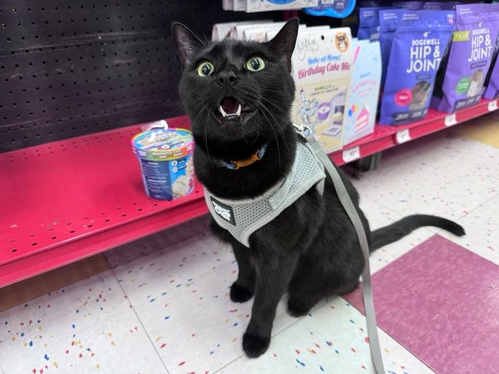 Mastodon Post 2024-05-18