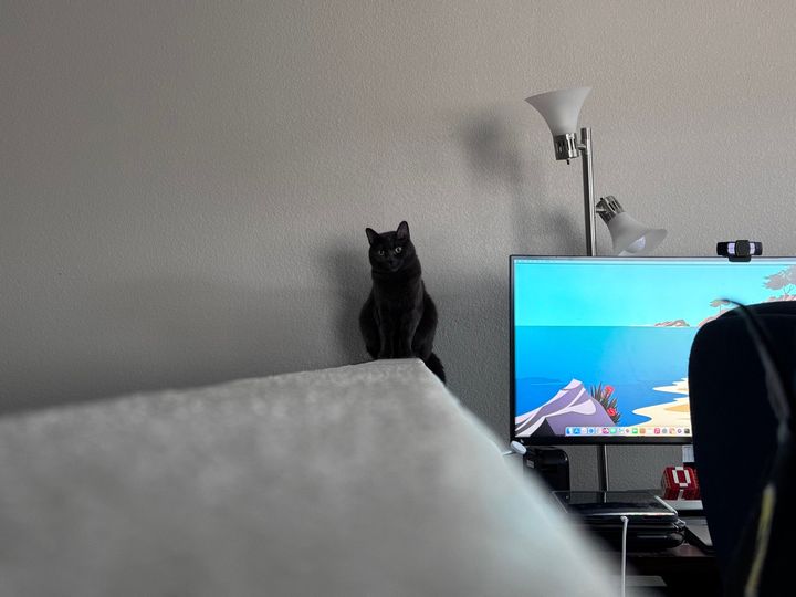 Bluesky Post 2024-02-04