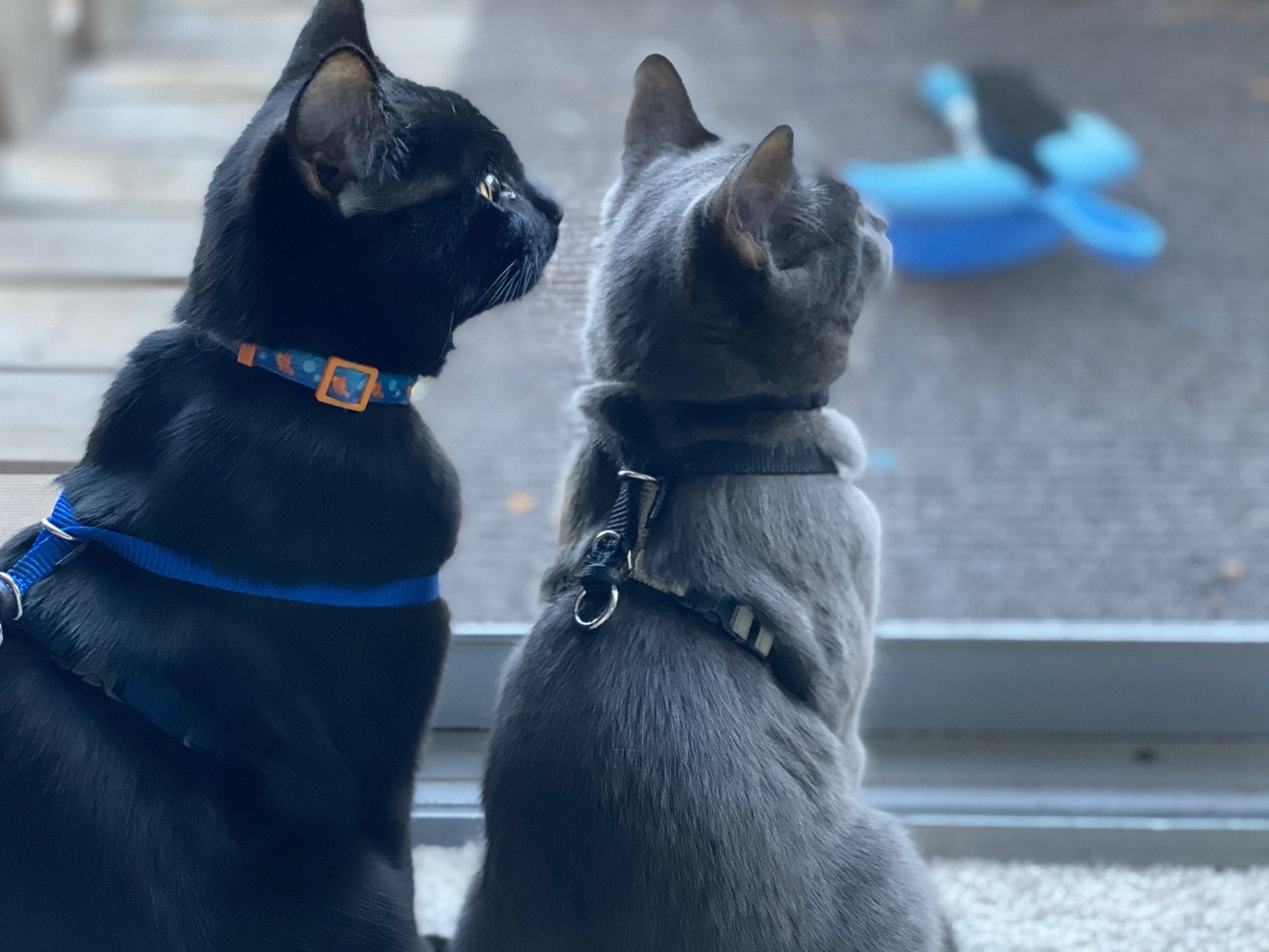 Bluesky Post 2023-12-16