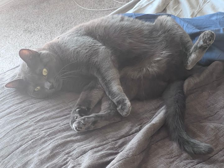 Mastodon Post 2023-06-24