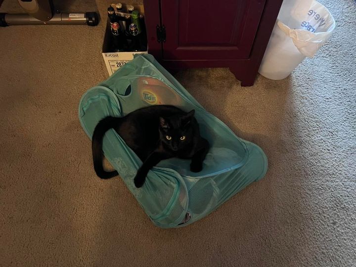 Mastodon Post 2025-09-13