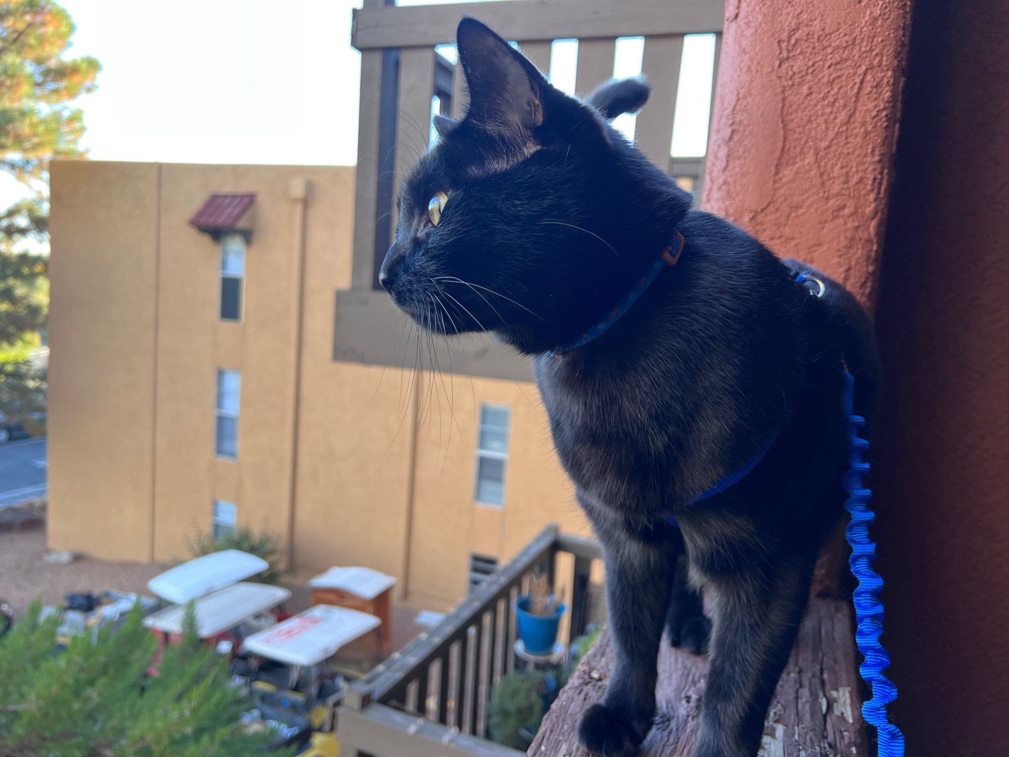 Bluesky Post 2024-01-13