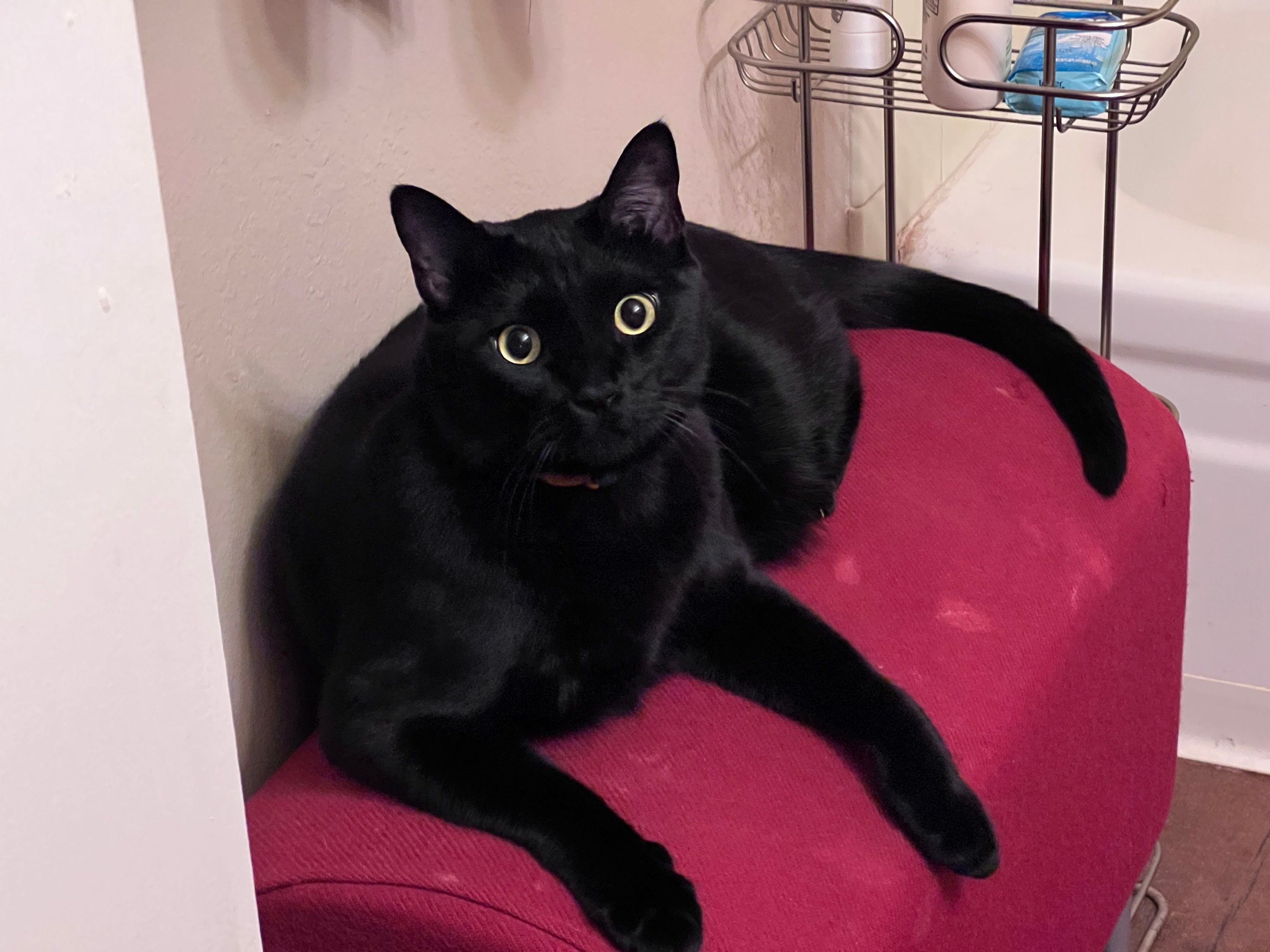 Mastodon Post 2023-10-27