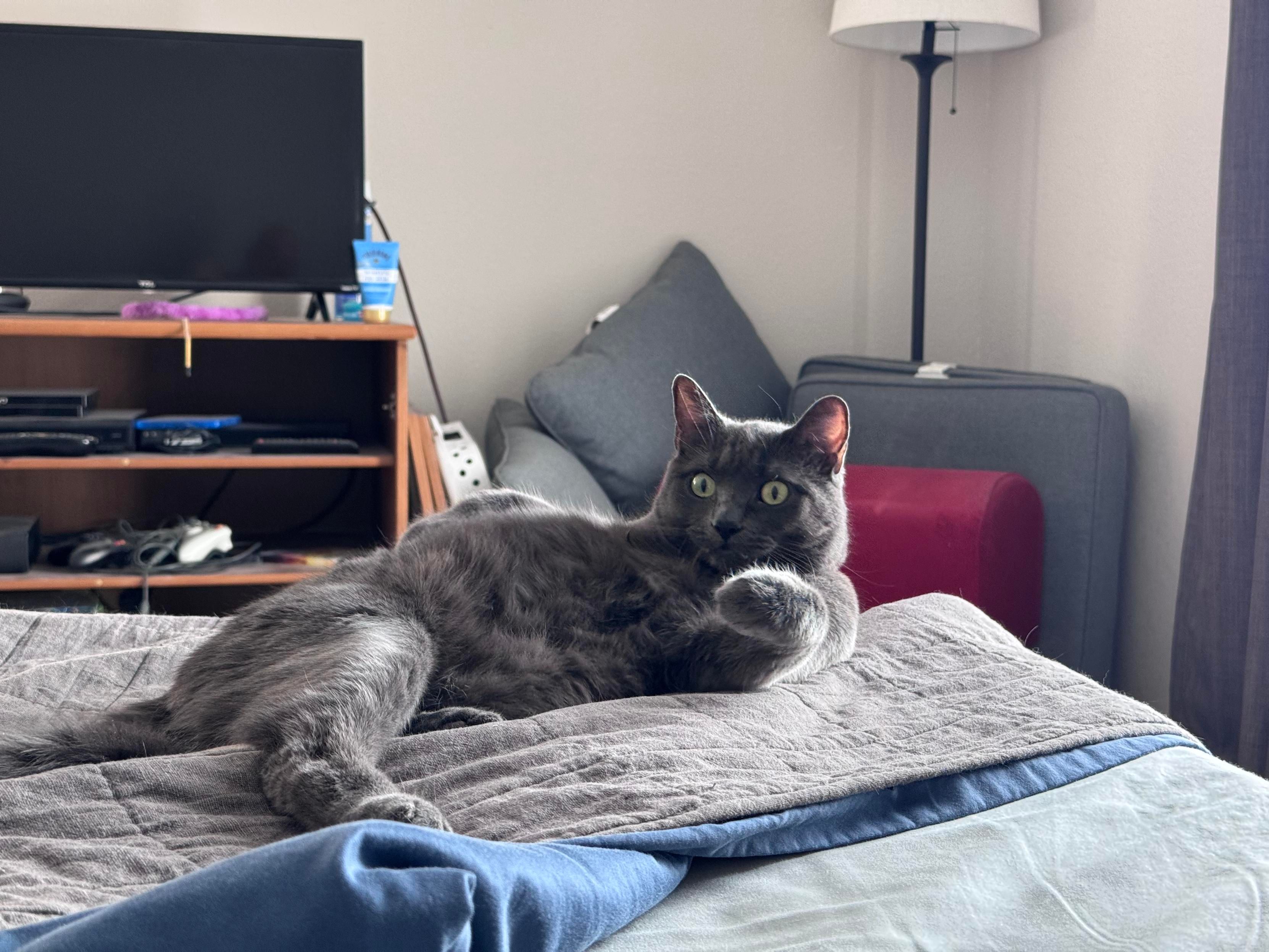 Mastodon Post 2025-03-23