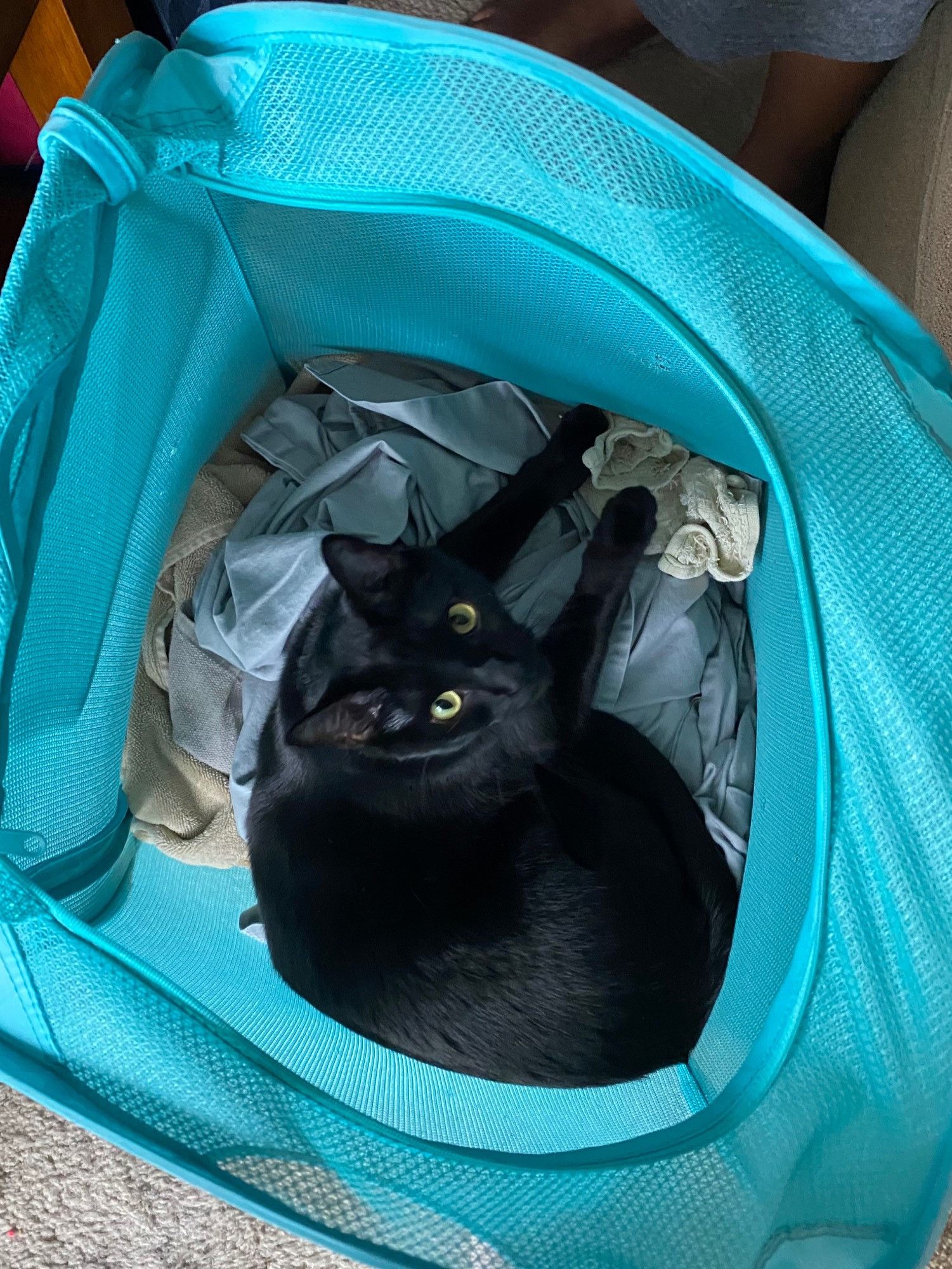 Bluesky Post 2024-01-27